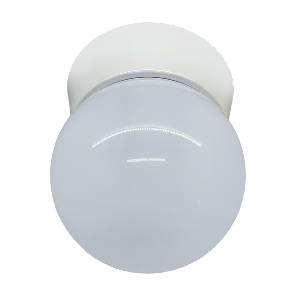 Plafon Bebedero Blanco con Globo R6