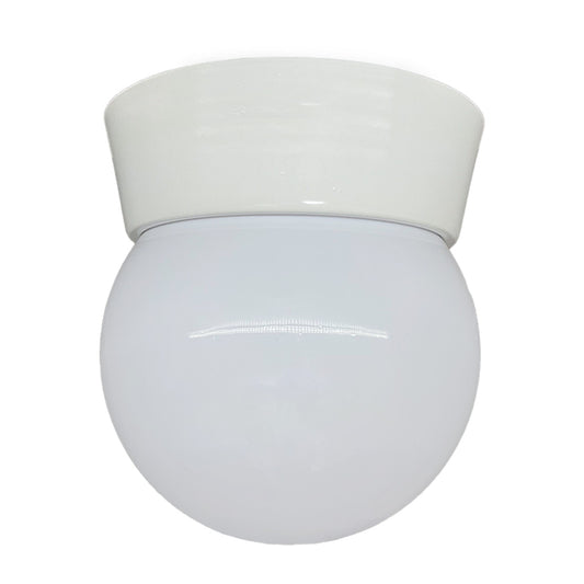 Plafon Bebedero Blanco con Globo R6