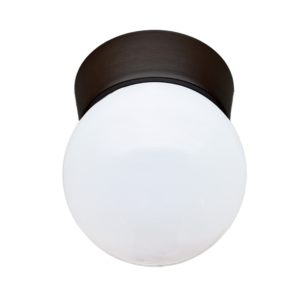 Plafon Bebedero Negro con Globo R6