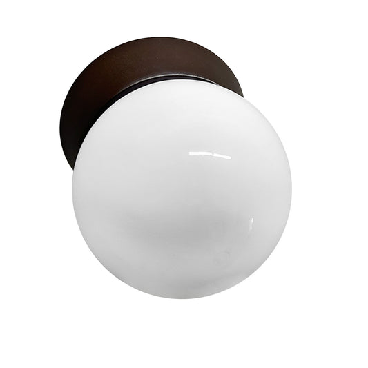 Plafon Bebedero Negro con Globo R6