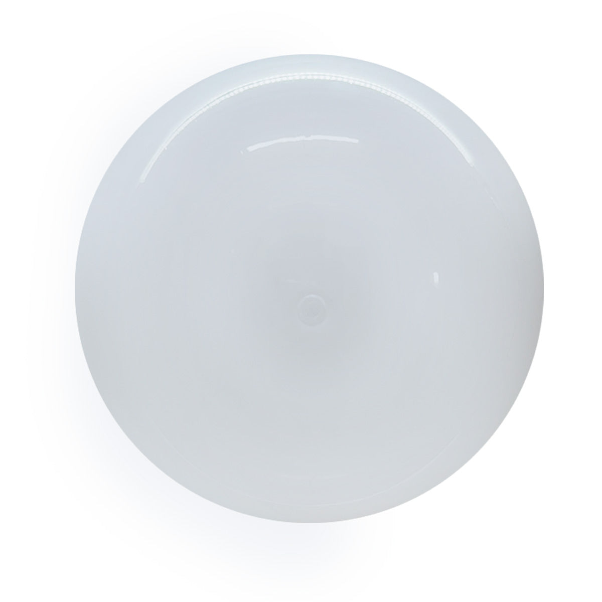 Plafon Bebedero Blanco con Globo R8