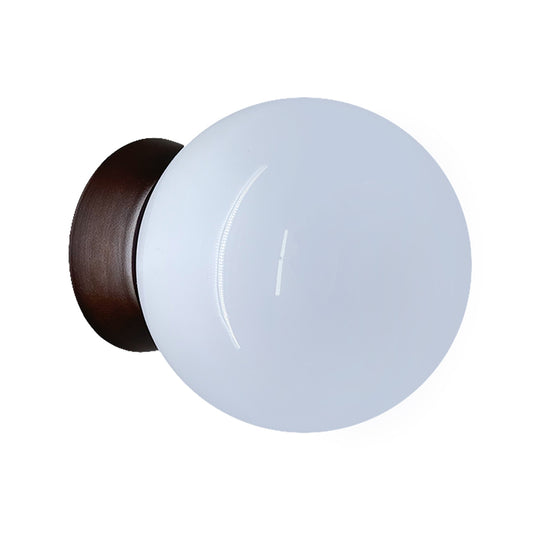 Plafon Bebedero Negro con Globo R8