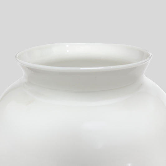 Globo R-6 De Cristal Opalino