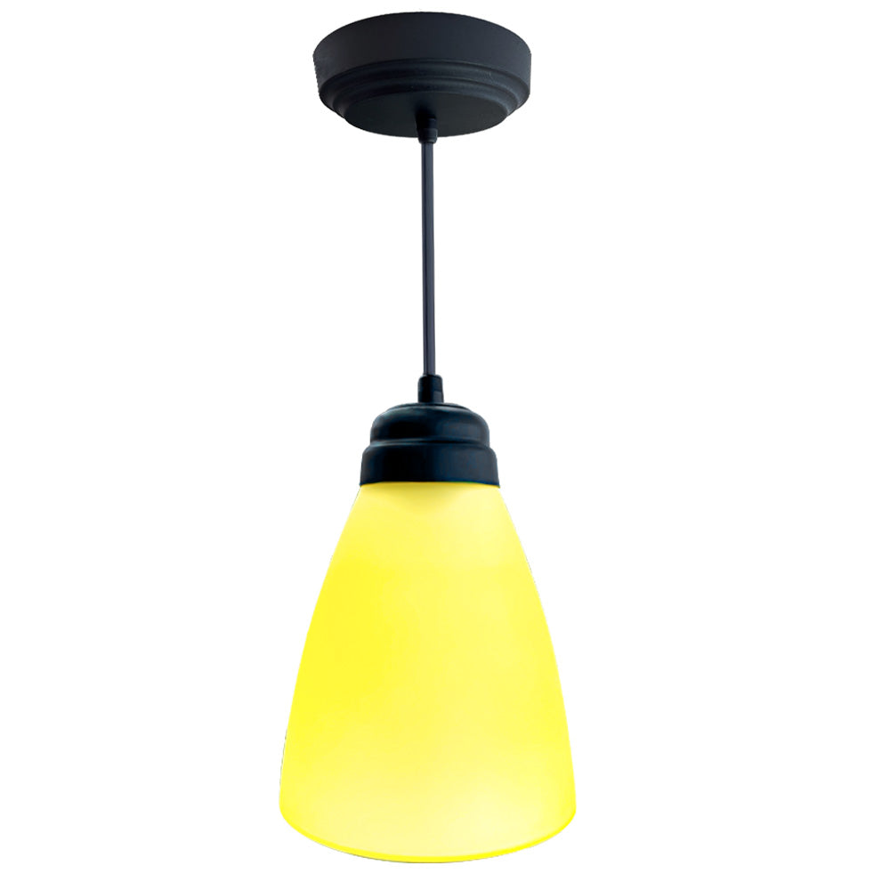 Lámpara de Techo Colgante, Campana de Cristal Grande Herraje Negro
