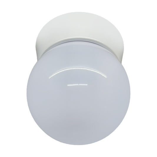 Plafon Bebedero Blanco con Globo R6