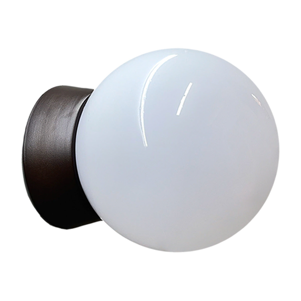 Plafon Bebedero Negro con Globo R8