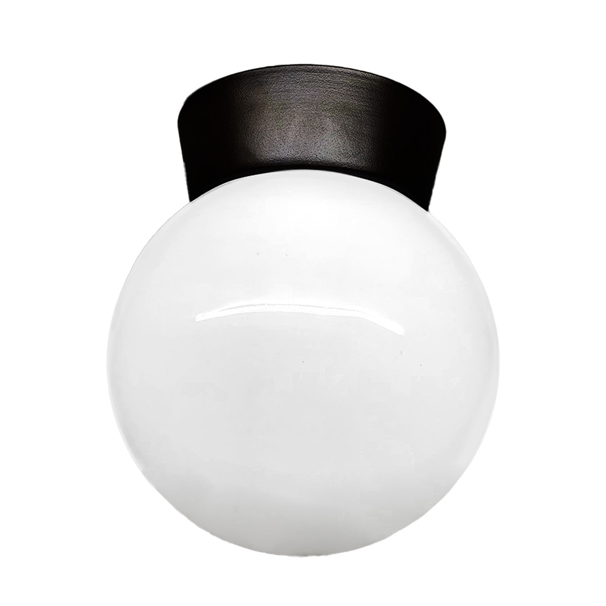 Plafon Bebedero Negro con Globo R8