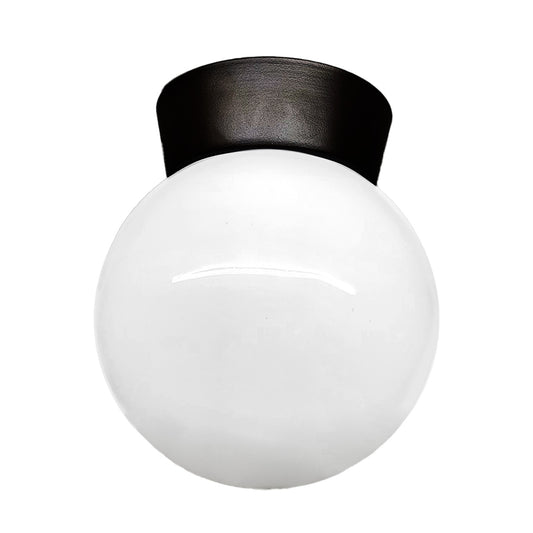 Plafon Bebedero Negro con Globo R8