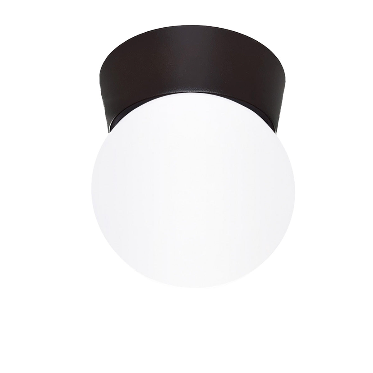 Plafon Bebedero Negro con Globo R6