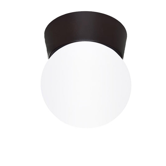Plafon Bebedero Negro con Globo R6